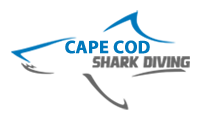 An image of the Cape Cod Shark Diving logo.